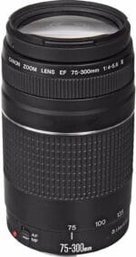 Canon EF 75-300mm f/4-5.6 III Telephoto Zoom Lens Black