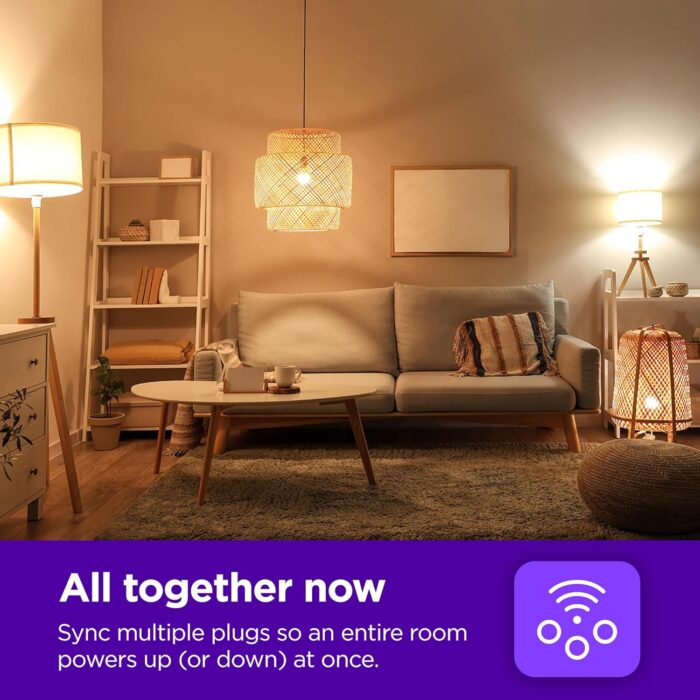 Roku Smart Home Indoor Smart Plug